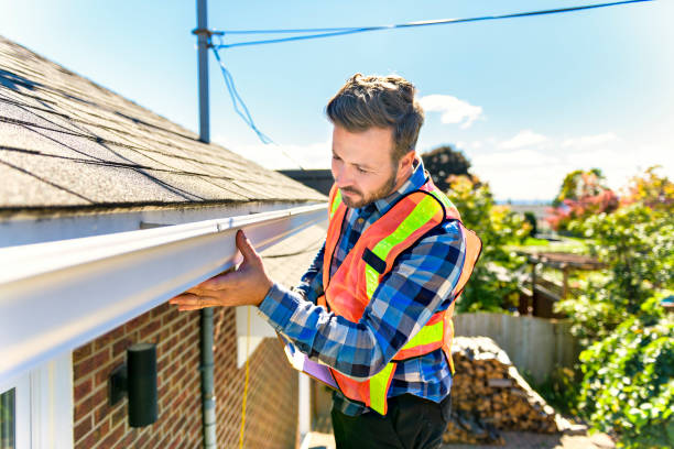 Best Asphalt Shingles Roofing  in River Ridge, FL