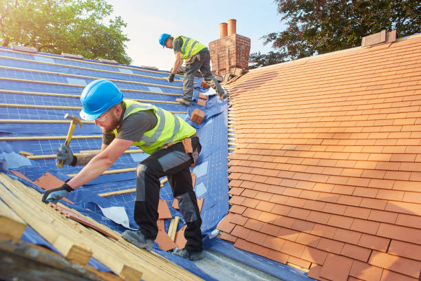 Best Emergency Roof Repair Services  in River Ridge, FL